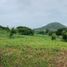  Land for sale in Calamba City, Calabarzon, Calamba City