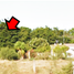  House for sale in Guasave, Sinaloa, Guasave