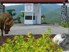  Land for sale in Miacatlan, Morelos, Miacatlan