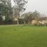  Land for sale in Chaclacayo, Lima, Chaclacayo, Lima, Lima