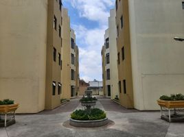 2 Habitación Apartamento en venta en Bicentenario Park, Quito, Quito, Quito