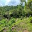  Terreno (Parcela) en venta en Cebu City, Central Visayas, Cebu City, Cebu, Central Visayas, Filipinas