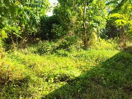  Land for sale in Gamping, Sleman, Gamping