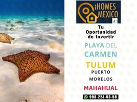 Appartement 2 chambre à vendre à Cozumel, Quintana Roo, Cozumel