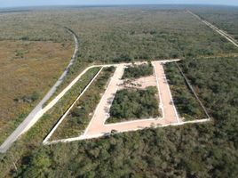  Land for sale in Tixkokob, Yucatan, Tixkokob