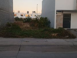  Terreno (Parcela) en venta en Irapuato, Guanajuato, Irapuato