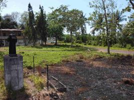  Land for sale in Asturias, Cebu, Asturias