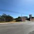  Land for rent in Kanasin, Yucatan, Kanasin