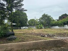  Land for sale at Ayala Alabang VIllage, Muntinlupa City