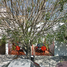 Villa 3 chambre à vendre à Atizapan De Zaragoza, Mexico, Atizapan De Zaragoza