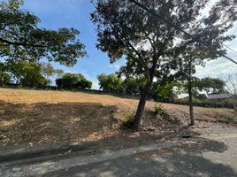  Terreno (Parcela) en venta en Muntinlupa City, Metro Manila, Muntinlupa City, Southern District, Metro Manila