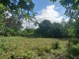  Land for sale in San Martin, Tarapoto, San Martin, San Martin