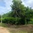  Land for sale in San Martin, Tarapoto, San Martin, San Martin