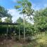  Land for sale in San Martin, Tarapoto, San Martin, San Martin