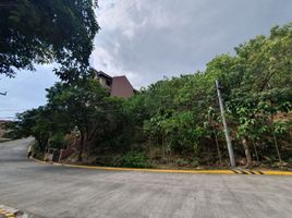  토지을(를) Talisay City, 세부에서 판매합니다., Talisay City