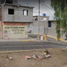 3 Schlafzimmer Haus zu verkaufen in Nezahualcoyotl, Mexico, Nezahualcoyotl