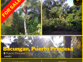  Terrain for sale in Palawan, Mimaropa, Puerto Princesa City, Palawan