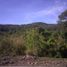  Terrain for sale in Palawan, Mimaropa, Puerto Princesa City, Palawan
