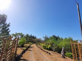  Land for sale in Cocle, Penonome, Penonome, Cocle