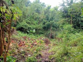  Land for sale in Liloan, Cebu, Liloan