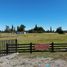  Land for sale in Chile, Purranque, Osorno, Los Lagos, Chile