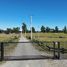  Land for sale in Chile, Purranque, Osorno, Los Lagos, Chile