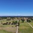  Land for sale in Chile, Purranque, Osorno, Los Lagos, Chile