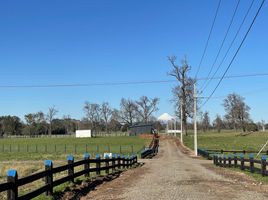  Land for sale in Chile, Purranque, Osorno, Los Lagos, Chile