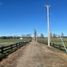  Land for sale in Chile, Purranque, Osorno, Los Lagos, Chile