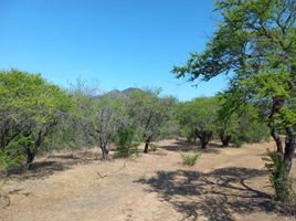 Terreno (Parcela) en venta en Melipilla, Santiago, Melipilla, Melipilla