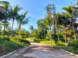  Land for sale in Alfonso, Calabarzon, Alfonso