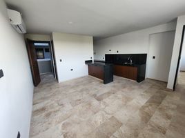 1 Bedroom Apartment for rent in Merida, Yucatan, Merida, Yucatan