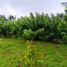  Land for sale in Davao City, Davao del Sur, Davao City