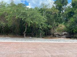 在墨西哥出售的 土地, Puerto Morelos, Quintana Roo, 墨西哥