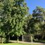  Terreno (Parcela) en venta en San Jode de Maipo, Cordillera, San Jode de Maipo