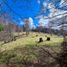  Land for sale in Chile, Villarrica, Cautin, Araucania, Chile