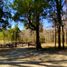  Land for sale in Chile, Villarrica, Cautin, Araucania, Chile