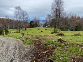  Land for sale in Chile, Villarrica, Cautin, Araucania, Chile