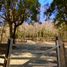  Land for sale in Chile, Villarrica, Cautin, Araucania, Chile