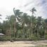  Land for sale in Zamboanga Peninsula, Dapitan City, Zamboanga del Norte, Zamboanga Peninsula