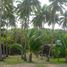  Land for sale in Zamboanga Peninsula, Dapitan City, Zamboanga del Norte, Zamboanga Peninsula