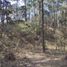  Land for sale in Pinal De Amoles, Queretaro, Pinal De Amoles