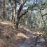  Terreno (Parcela) en venta en Pinal De Amoles, Querétaro, Pinal De Amoles
