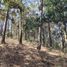  Terreno (Parcela) en venta en Pinal De Amoles, Querétaro, Pinal De Amoles