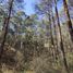  Terreno (Parcela) en venta en Pinal De Amoles, Querétaro, Pinal De Amoles