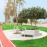  Terreno (Parcela) en venta en Castilla, Piura, Castilla, Piura, Piura