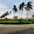  Terreno (Parcela) en venta en Castilla, Piura, Castilla, Piura, Piura