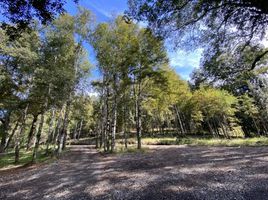  Terreno (Parcela) en venta en Araucanía, Villarrica, Cautín, Araucanía