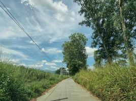  Grundstück zu verkaufen in Porac, Central Luzon, Porac, Pampanga, Central Luzon