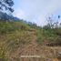  Land for sale in Cordillera, Baguio City, Benguet, Cordillera